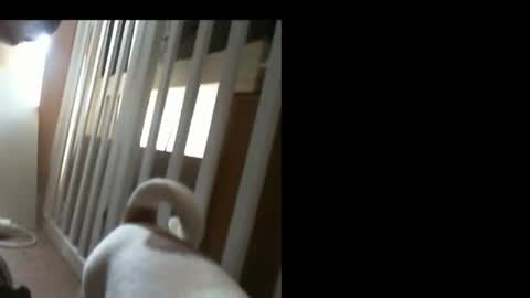 10mm_socket online show from 02.11.26