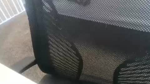 1chris505 online show from 01.02.25