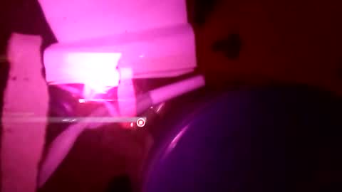 Snapshot of 1st___ chatting on 11.25.25 1st___ online show from 11.25.25