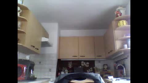 20x5cmgermanlongdong online show from 01.08.25