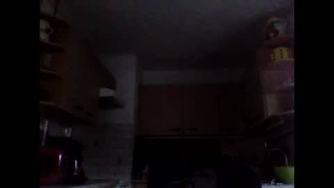 20x5cmgermanlongdong online show from 02.24.25