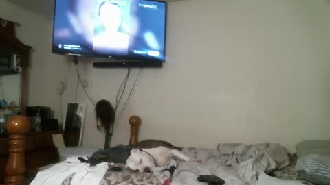 247dic online show from 04.28.26