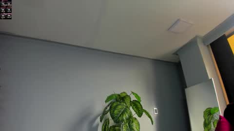 2_fire online show from 11.06.25