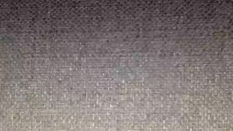 30nick online show from 02.16.26