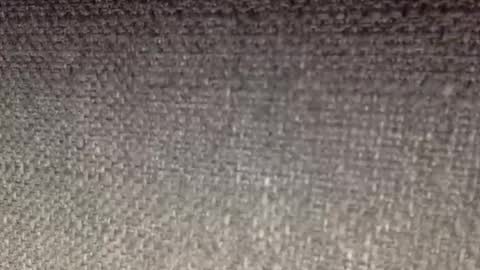 30nick online show from 04.19.26