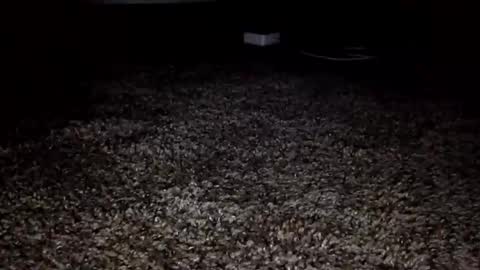 Snapshot of 30nick chatting on 06.09.26 30nick online show from 06.09.26