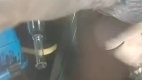 336cumdumpster online show from 08.08.26
