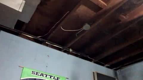 33adidas online show from 11.09.25