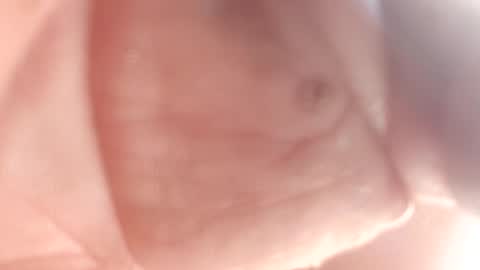 Thisguy online show from 02.12.25