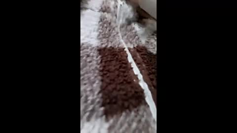 3X NAXAA online show from 02.15.26