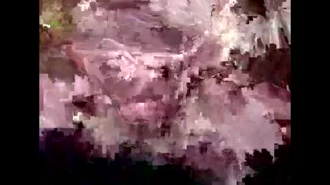 Kyle Brandon online show from 01.30.25