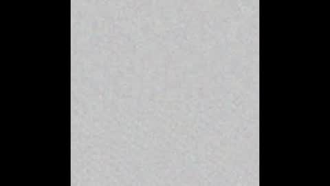 4pleigh4u online show from 11.16.25