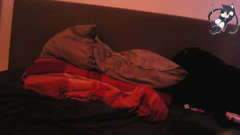 Snapshot of 666horny_boy999 chatting on 12.29.24 Shady online show from 12.29.24