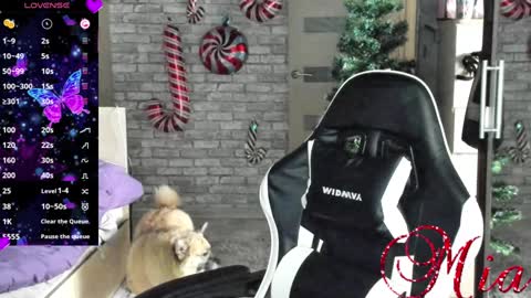 Mia my pvt is open and lovense is active online show from 12.23.24