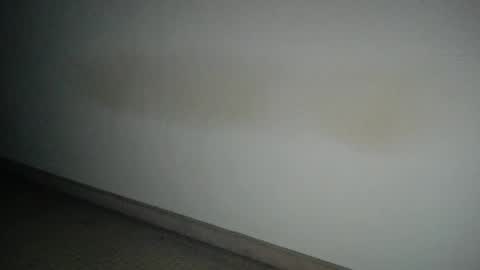 69___pas online show from 12.12.24