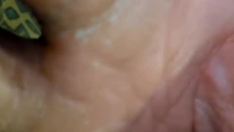 HUGH G RECTION online show from 12.07.24