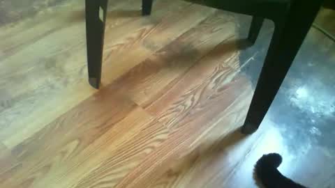 Snapshot of 69forever453443 chatting on 11.14.25 69forever453443 online show from 11.14.25