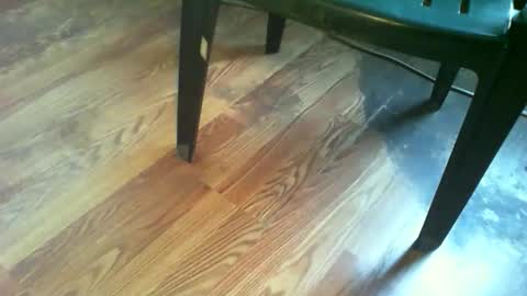 Snapshot of 69forever453443 chatting on 11.19.25 69forever453443 online show from 11.19.25