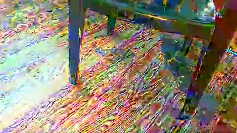 Snapshot of 69forever453443 chatting on 11.24.25 69forever453443 online show from 11.24.25