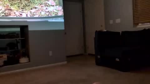 69singledad79 online show from 03.10.25