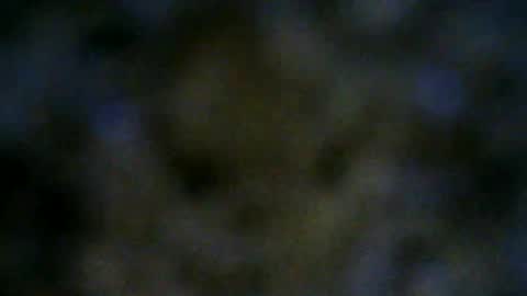 Snapshot of 77lilu chatting on 06.18.26 Lilu online show from 06.18.26