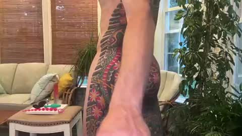 Jake online show from 08.09.26