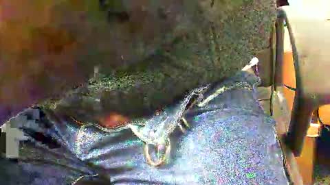 99zeus9 online show from 11.27.25