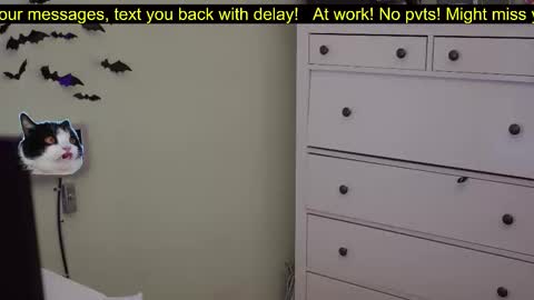 Snapshot of _3x7_ chatting on 10.07.25 _3x7_ online show from 10.07.25