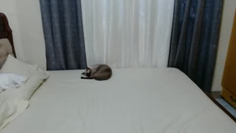 Amber online show from 12.01.24