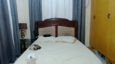 Amber online show from 01.30.25