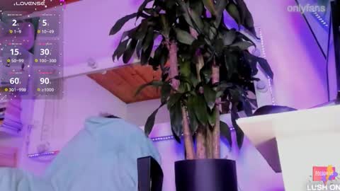 fer online show from 10.07.25