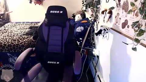 bandit online show from 02.22.26