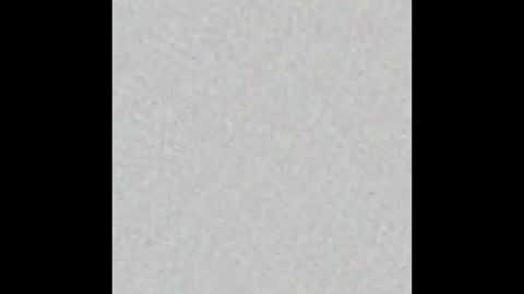 Brenda online show from 11.13.25