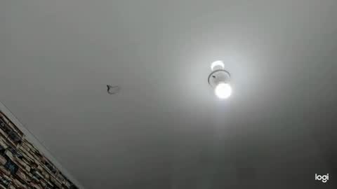 _casandra11 online show from 01.23.25