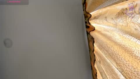 danik online show from 03.11.26