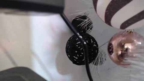 Cata  online show from 12.02.25