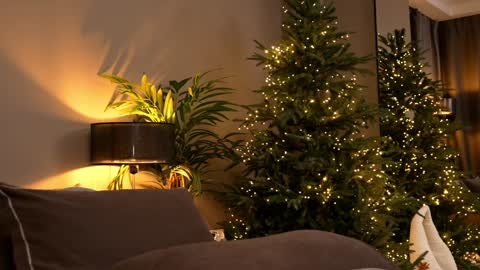 FANSLY ---   anal in private 700 tokens online show from 11.30.25