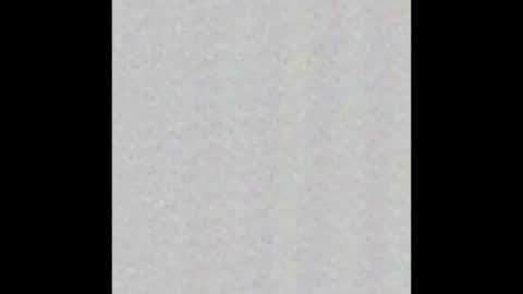 Snapshot of _maccaa_ chatting on 11.12.25 _maccaa_ online show from 11.12.25