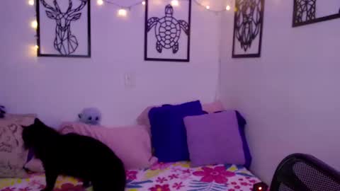 Snapshot of _marcela_wi chatting on 01.18.25 Marce  online show from 01.18.25