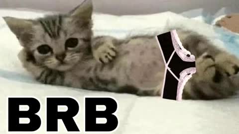 miko3 online show from 03.31.26