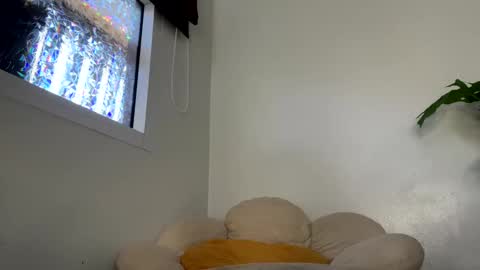 Snapshot of _morpho_ chatting on 01.29.25 Francine Aisi Morpho - a genus of blue butterflies. online show from 01.29.25