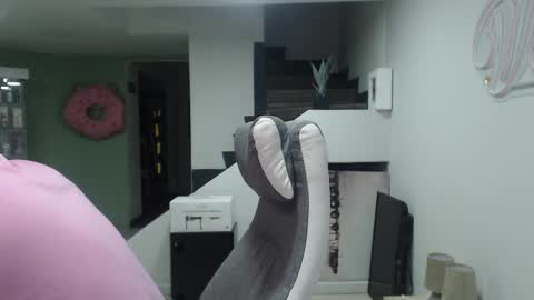 Snapshot of _mr_panda_ chatting on 01.23.25 Panda  online show from 01.23.25