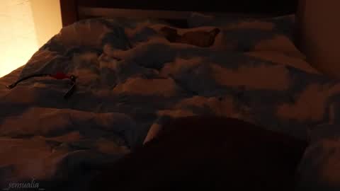 Lia online show from 09.09.25