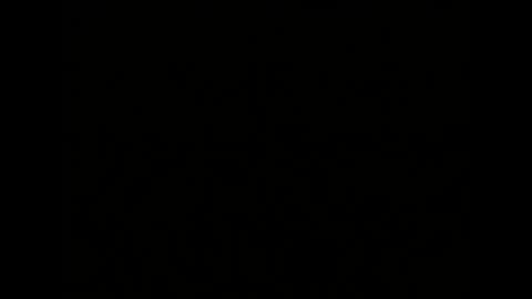 Snapshot of _squirty_pussyyy_ chatting on 01.04.25 Melisa online show from 01.04.25