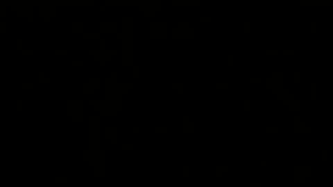 Snapshot of _squirty_pussyyy_ chatting on 02.20.25 Melisa online show from 02.20.25