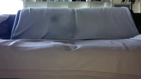 a_nice_dick_77 online show from 04.16.26