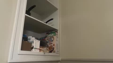 aazdaan online show from 04.06.26