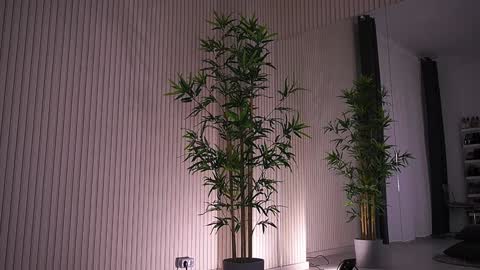 Alexa online show from 01.23.25