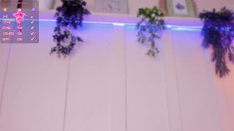 abbie online show from 12.04.24