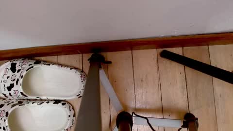 Abby online show from 09.21.25